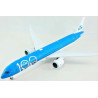Boeing 787-10 „Dreamliner“ – the American/ Dutch passenger liner