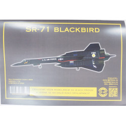 Lockheed SR-71 "Blackbird" - American reconnaissance aircraft