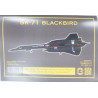 Lockheed SR-71 "Blackbird" - amerikiečių žvalgybinis lėktuvas