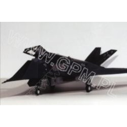 Lockheed F-117 Nighthawk - the American fighter – bomber