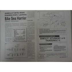 BAe «Sea Harrier» — британский палубный истребитель.