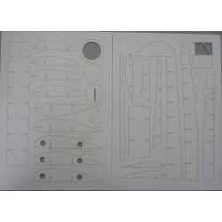 "Lublin R-XX" - the Polish naval torpedo-bomber - a laser-cut details