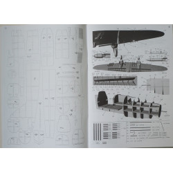 Iljušin Il-2 - TSRS smogiamasis lėktuvas (dvivietis)