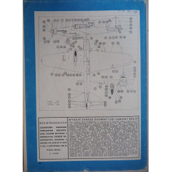 Iljušin Il-2 – TSRS/ Lenkijos smogiamasis lėktuvas